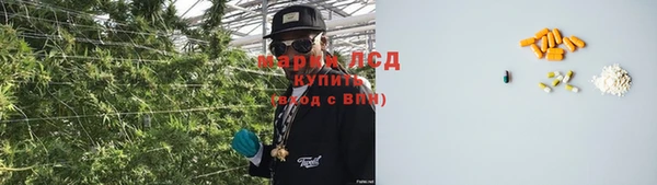ПСИЛОЦИБИНОВЫЕ ГРИБЫ Балахна