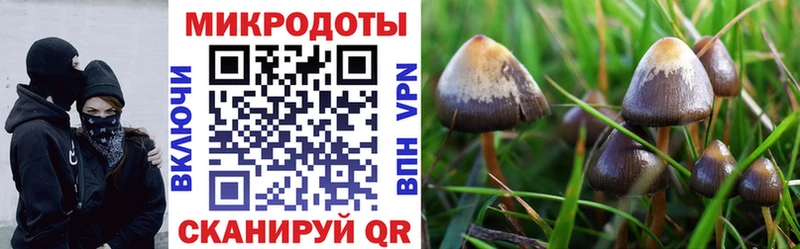 Псилоцибиновые грибы прущие грибы  Углич 
